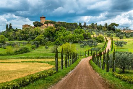 Half Day Escape to Chianti: Taste the Heart of Tuscany