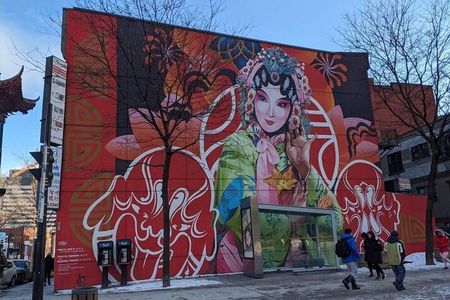 Montreal Street Art Private Walking Tour with a Guide