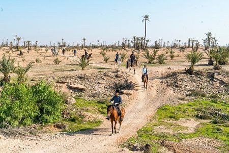 Private horseback ride in the Palmeraie of Marrakech