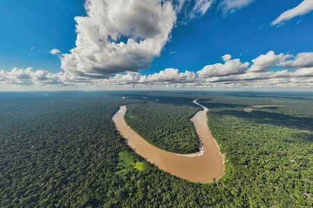 Tambopata. Sandoval lake and parrot clay lick, 3 days 2 nights