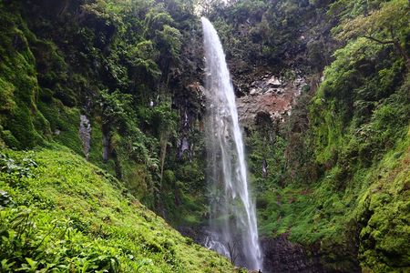 1 Day Kilimanjaro forest (mambori waterfalls).