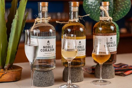 Tequila Tasting and Mixology Experience in Cancun