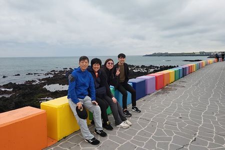 Private Day tour East & south & west of All area in jeju island 
