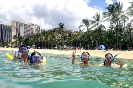 Waikiki Snorkeling Tons of Fish All Levels Free Video and Pics! 