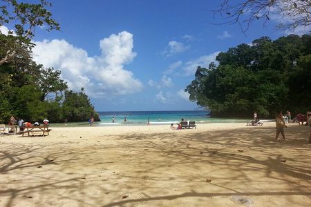 Private tour from Ocho Rios to Port Antonio & Frenchman cove