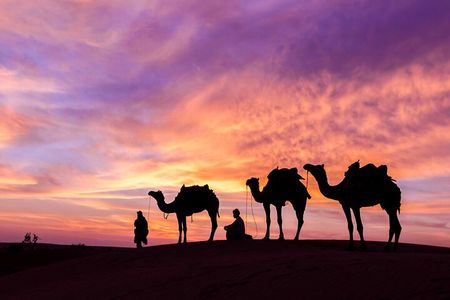 Douz Overnight Camp Stay in Sahara Desert with Dinner By Camel