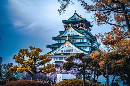 Osaka & Nara in 1-Day by Private Van with Local Expert Guide