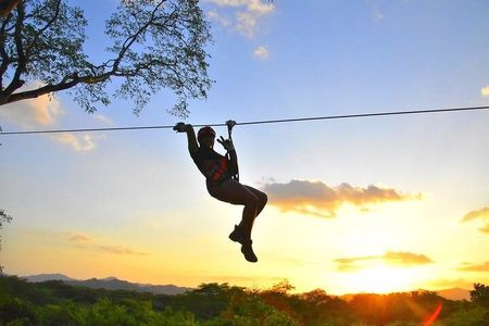Customizable Zipline Adventure 