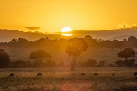 2 Days Private Safari To Maasai Mara National Reserve