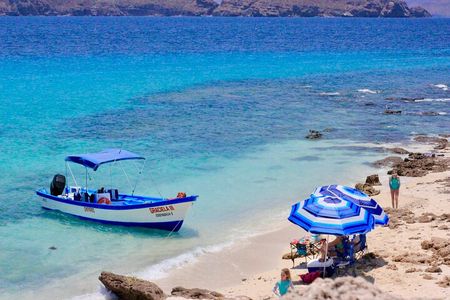 Danzante Island and Snorkel Tour from Villas del Palmar Hotel