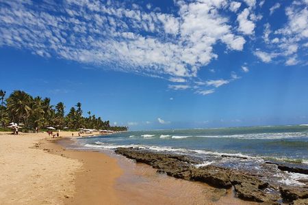 Private Coconut Coast & Praia do Forte Tour - from Salvador