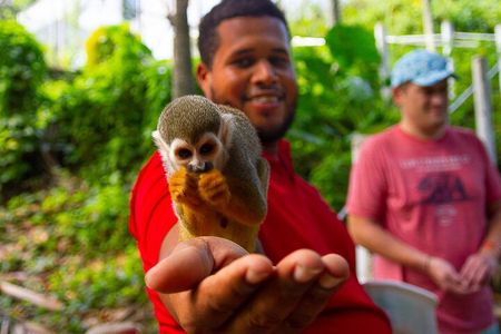 Monkey Enconter & Zip line Adventure