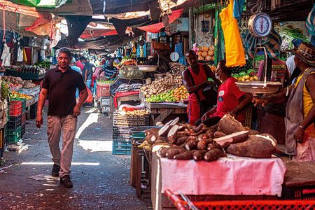 5-Hour Cooking and Tasting Class with Market Small Group Tour 