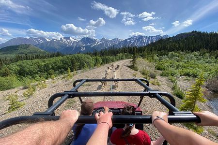 Step Into the Yukon and Sled Dog Tour