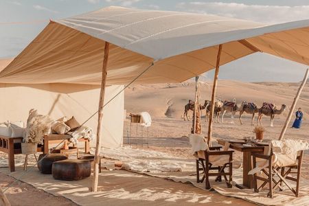 Nomad desert dinner camel ride & bonfire : Marrakech activity