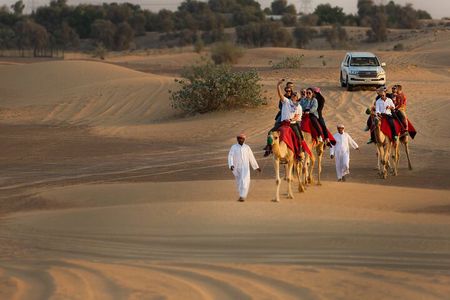 Sunset Camel Trekking, Falcon Show & VIP BBQ Dinner