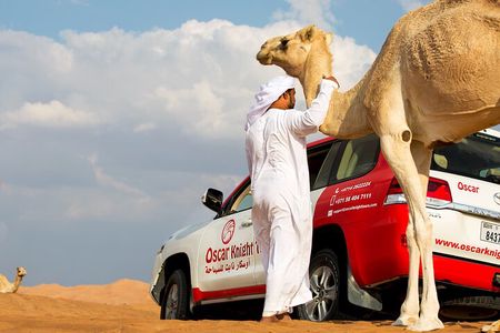 Sunset Camel Trekking with Falcon Show & VIP BBQ Dinner