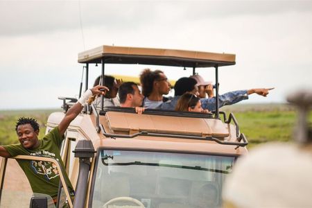 4-Day Private Safari Tour to Serengeti and Ngorongoro 