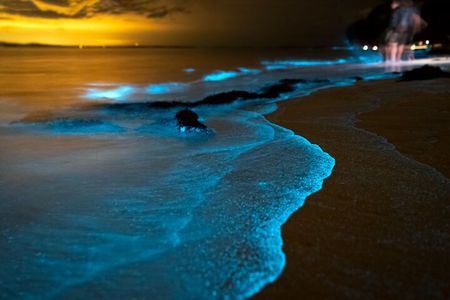 Phuket: Phang Nga Bay Bioluminescent Plankton and Sea Canoes tour