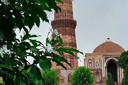  Delhi's historical 7 hours experience tour 