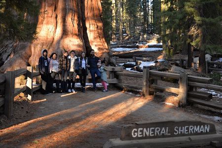 Private Day Tour to Sequoia and Kings Canyon Parks From LA