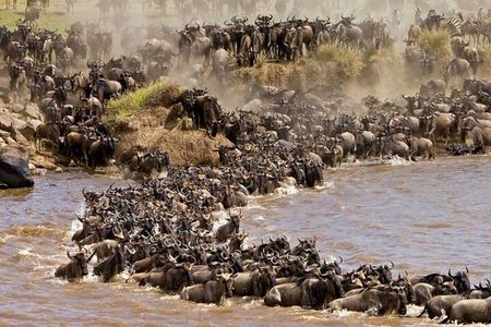 6 Day Camping Safari Small Group Tour
