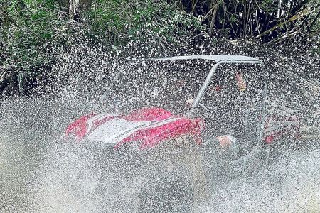 UTV adventure in Naguabo Puerto Rico 50 minutes trip 80 acres 