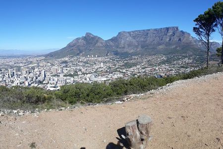 6 Days Private Discovery of Cape Town and Surroundings