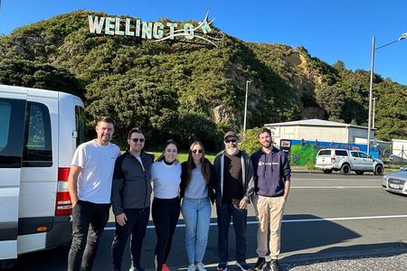Wellington city heights shared sightseeing tour