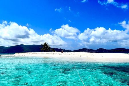 Family Snorkel Safari. ️Private boat!