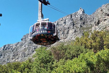 Cape of Good Hope, Table Mountain & Penguins Tour + All Tickets 