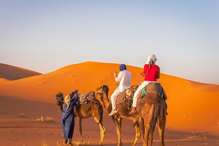 BEST Marrakech to Fes desert tour 3 days