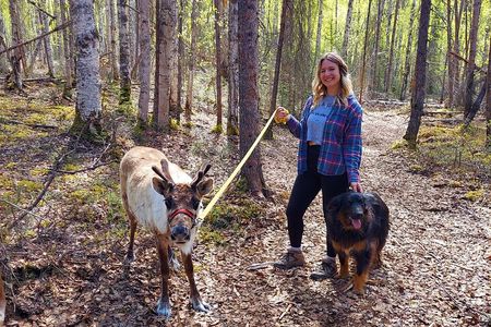 The Reindeer Grove Homestead Tour and Forage