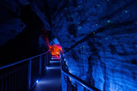Waitomo Glowworm & Ruakuri Twin Cave Experience - Small Group Tour From Auckland
