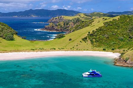 Bay of Islands Explorer Experience Small Group Tour From Auckland