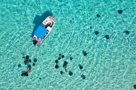 Sunrise at Stingray City, Private Tour