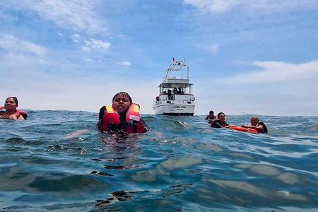 Palomino Islands Tour | Palomino Islands From Lima 2025