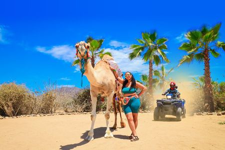 ATV Tour, Camel Ride, Tequila Tasting and Mexican Buffet Lunch