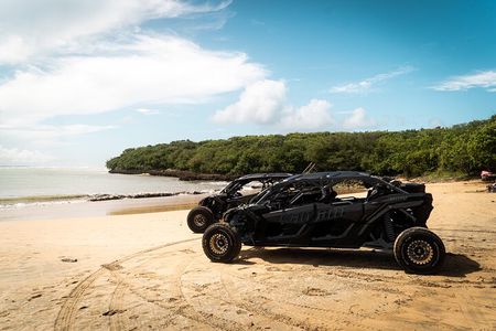 Discover Puerto Rico Like a Local 4 Hour Private Beach Escape 