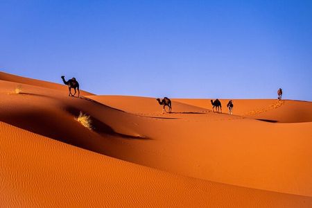 3-Day Shared Tour to Merzouga: Sahara Magic & Camel Trek