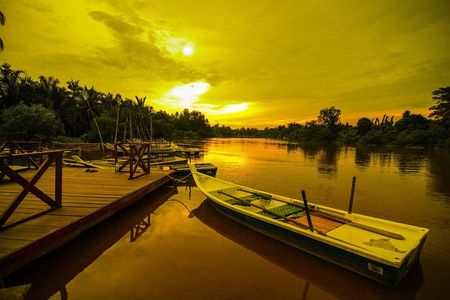 Private Kuala Selangor Firefly Day Trip from Kuala Lumpur