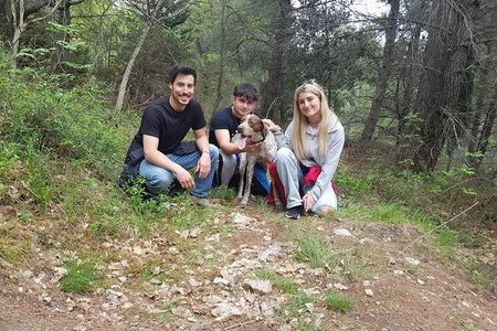  2 hours Private Activity - Truffle hunting in Assisi
