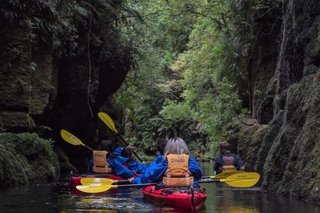 Tauranga Daytime Scenic Lake McLaren Tour