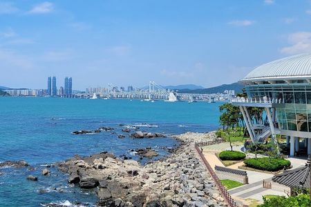 Busan Full-Day Customizable Private Tour in English