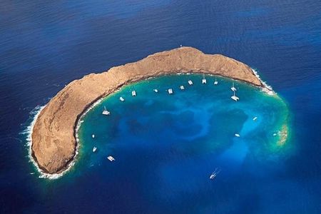 Half-Day Deluxe Molokini Snorkel Excursion in Maui