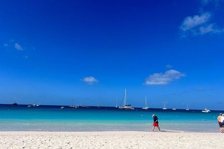 Barbados Shore Excursion Barbados Paradise Sightseeing Tour