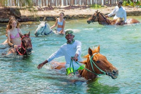 Horseback Ride and Swim Jamaica
