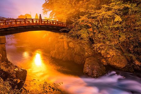 "Nikko Heritage Day Tour by Car with English-Speaking Chauffeur"