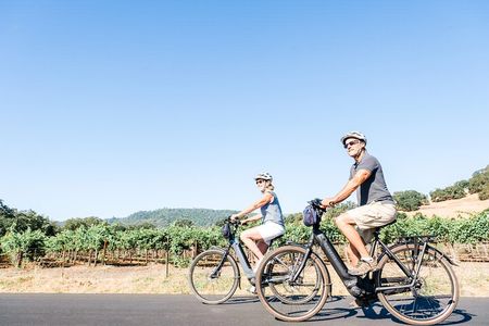 Half-Day Napa Winery E-Bike Tour