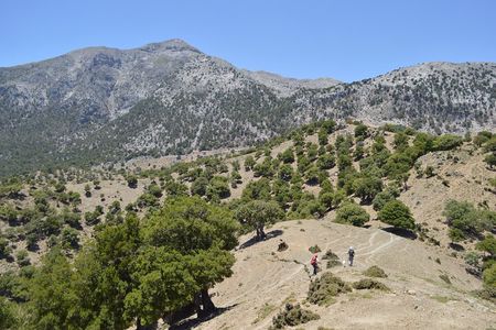 Trekking Rouvas Gorge